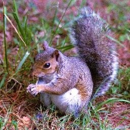 【元叔】波西亚时光22有新衣服啦!