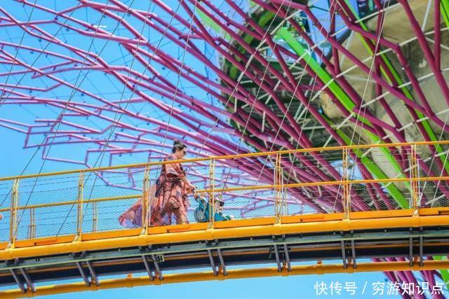 这是什么节奏?新加坡竟然花了10亿打造“原始森林”