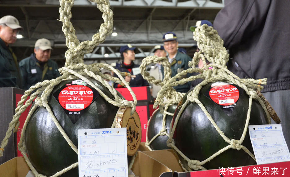 日本北海道西瓜3万元一个,到底有啥不一样?答案让人瞠目结舌