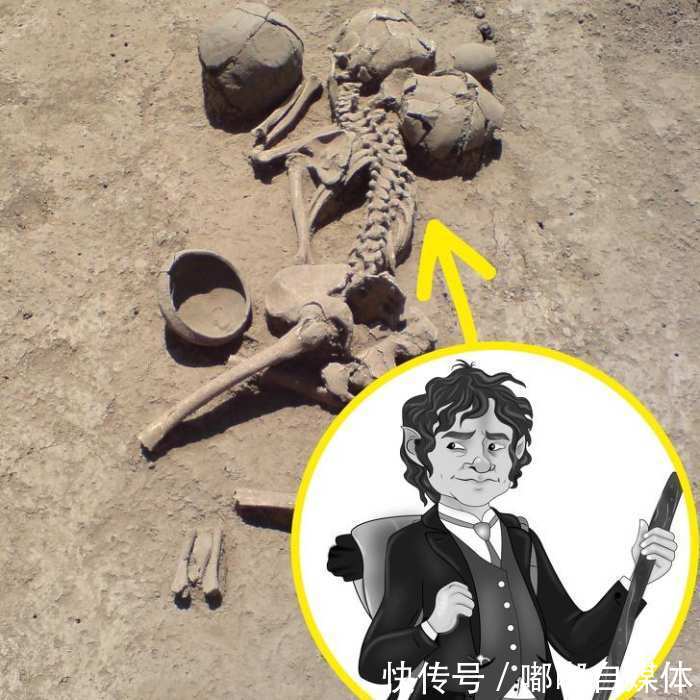 纯属人口迁移造成的是_纯属黑狗是什么狗(3)