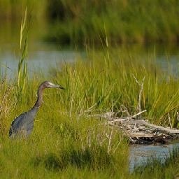 湿婆大天竟然拒绝帕尔瓦蒂向自己行触足礼!