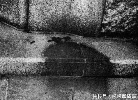 t0107ecb686c1570200.jpg