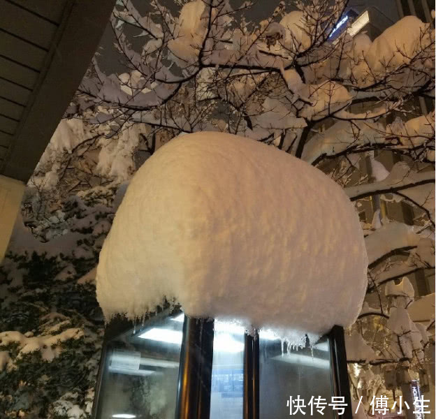 全国多地高温,中国北方这个城市却天降大雪,网友:我要去打雪仗