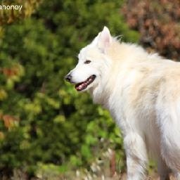 宋小宝喊麦《一人饮酒醉》,新一代神曲诞生!逗