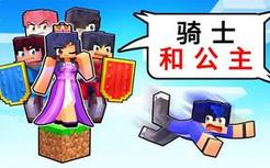 我的世界：一格方块上只能有四个骑士和一个公主！
