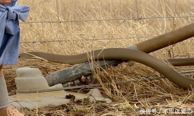 一女子整理游玩照片，突然发现照片不对，仔细看后让人庆幸不已