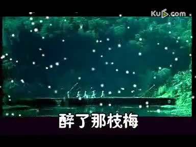 超清视频 梅花泪[歌曲-梅花泪[歌曲]