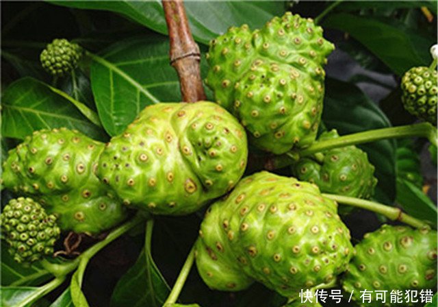 t010a5be5998d7daae6.jpg