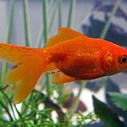 当你开始戒烟后的身体变化,过了这段时间,你就