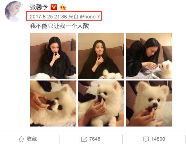 张馨予拿杨梅逗狗被痛骂,吓得她赶紧晒出这张照片