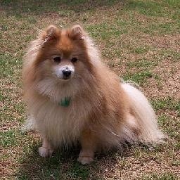 甜甜圈控 复仇者联盟 下个月就是复联3正式上