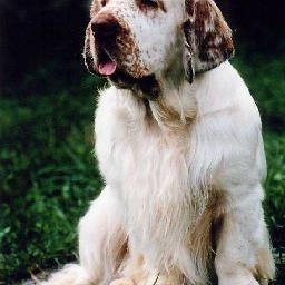 北京豫影时代文化传媒有限公司2017开始接单