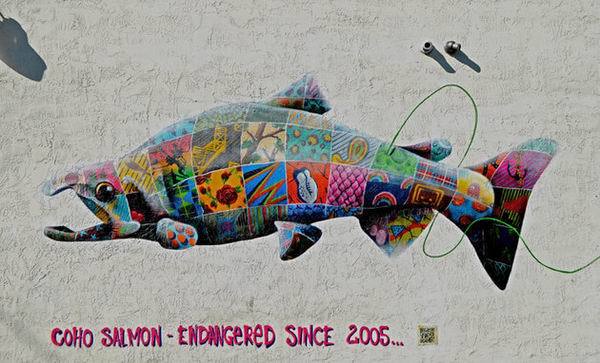 壁画的读音 t010d232ac720a66192.jpg?size=600x363