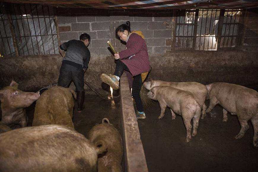 今年起，农村这3样不能随便建了，建了白花钱，村里有权给你拆除