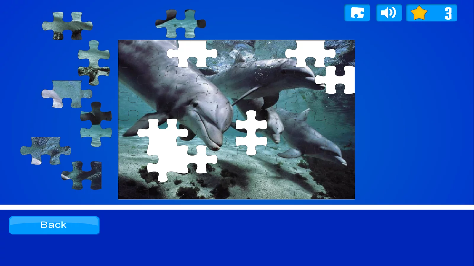 Dolphin Puzzles截图13