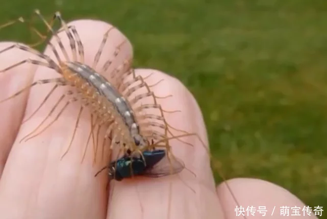 登录查看大图