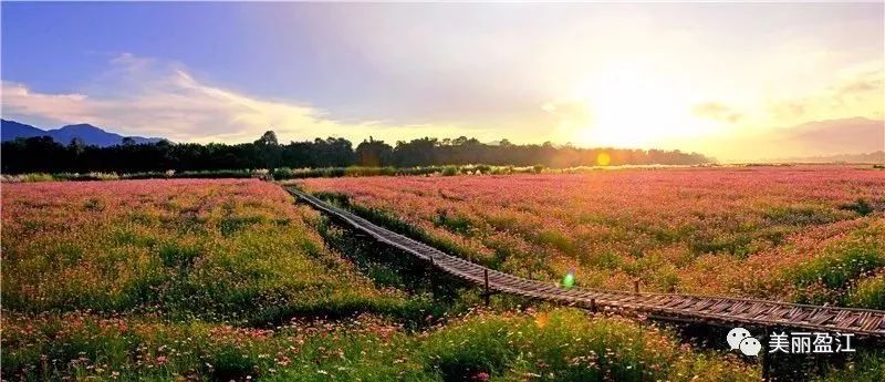 去了盈江才知道，这才叫生活!