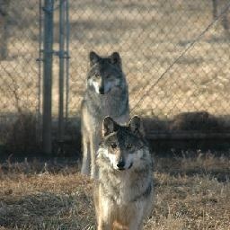 《厉害了我的歌》男光音组合花式恶搞