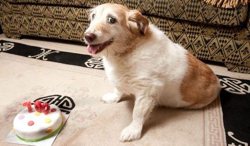 t0112808956ed8fa47c.jpg?size=493x287