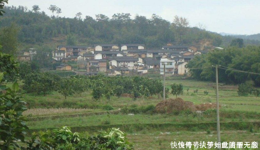 农村未来将统一规划,这些地方优先实行,看看有