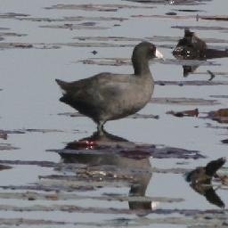 吉利博越登上中国最南边岛屿三沙岛