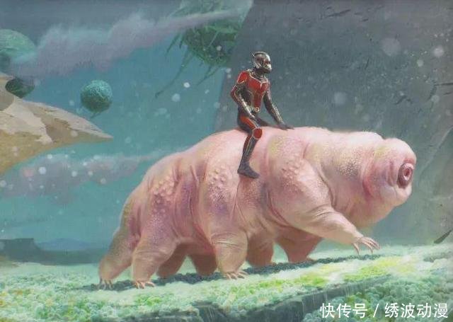 看着《蚁人2》,心里惦记《复联4》,中间还隔着