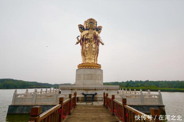 菩提岛 菩提树下 海风拂面 任天地在胸中激荡