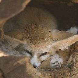 孤身一人的湿婆大天,回忆着与家人在一起的幸