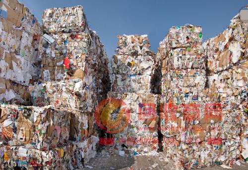 滞港美废或照单全收,美国纸业精英:中国离不开进口废纸!