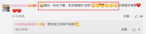 张馨予拿杨梅逗狗被痛骂,吓得她赶紧晒出这张照片