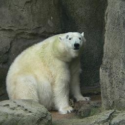 太空旅行者--动漫专属 影视原声 音乐短片 轻音