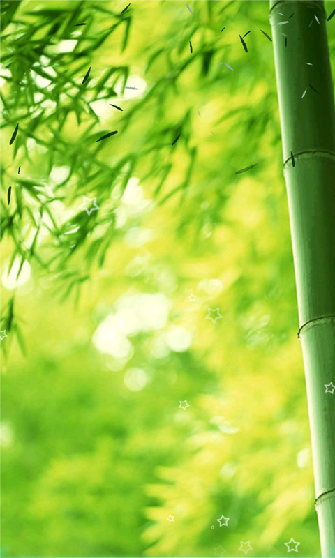 竹林深处动态壁纸 (6分)