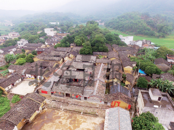 图片说明:合浦县曲樟乡璋嘉村 李君光 摄