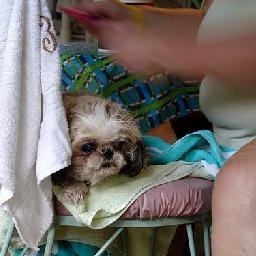 《遇见你真好》曝插曲MV 常石磊演绎命中注定