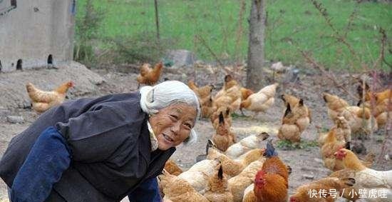 怪象 子女轮流伺候, 美其名 公平孝敬, 老人的话