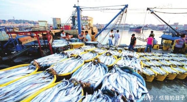 市场上卖的带鱼是深海带鱼还是养殖的带鱼答案