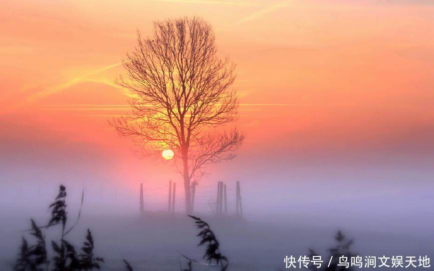 相信你还在这里,让我给你天使的翅膀