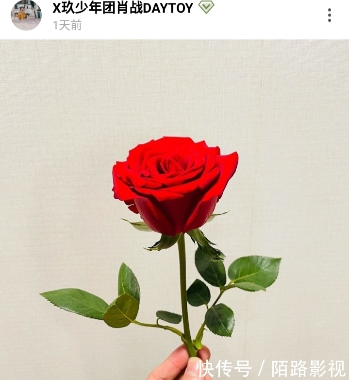 肖战晒玫瑰花从红海到花海肖战与小飞侠的浪漫感动多少人