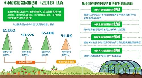 乡村产业兴旺并不单纯指农业发展,而是指农村产业的综合发展.