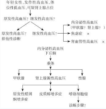 妙龄女郎为何被高血压折磨的生无可恋 短期暴瘦18斤?