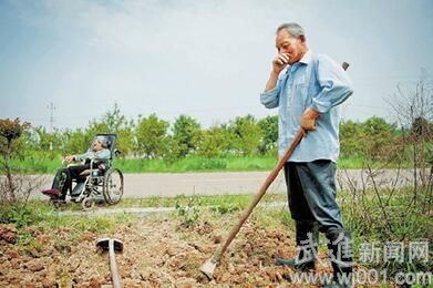 十万火急--明天谁来种地?