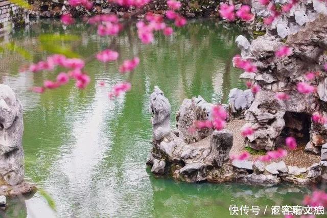 江浙沪又一网红打卡地!有轨电车穿过海棠花海,2元直达太湖