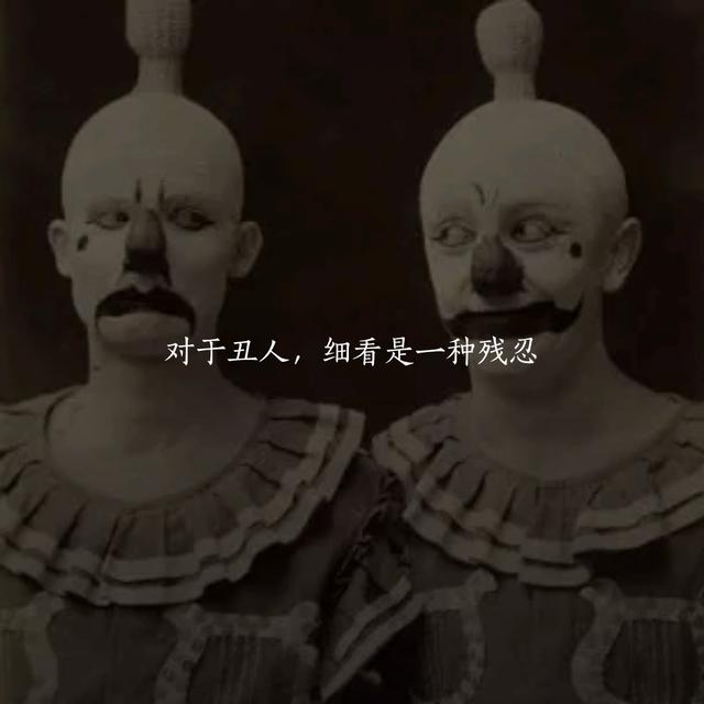 那些文艺而美感的句子,拿去发票圈吧,不谢~