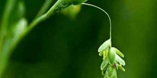 夏天靠什么逼出体内寒气 它胜过灵丹妙药, 坚