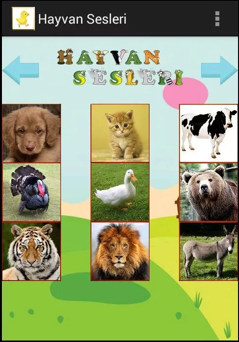 Hayvan Sesleri截图5