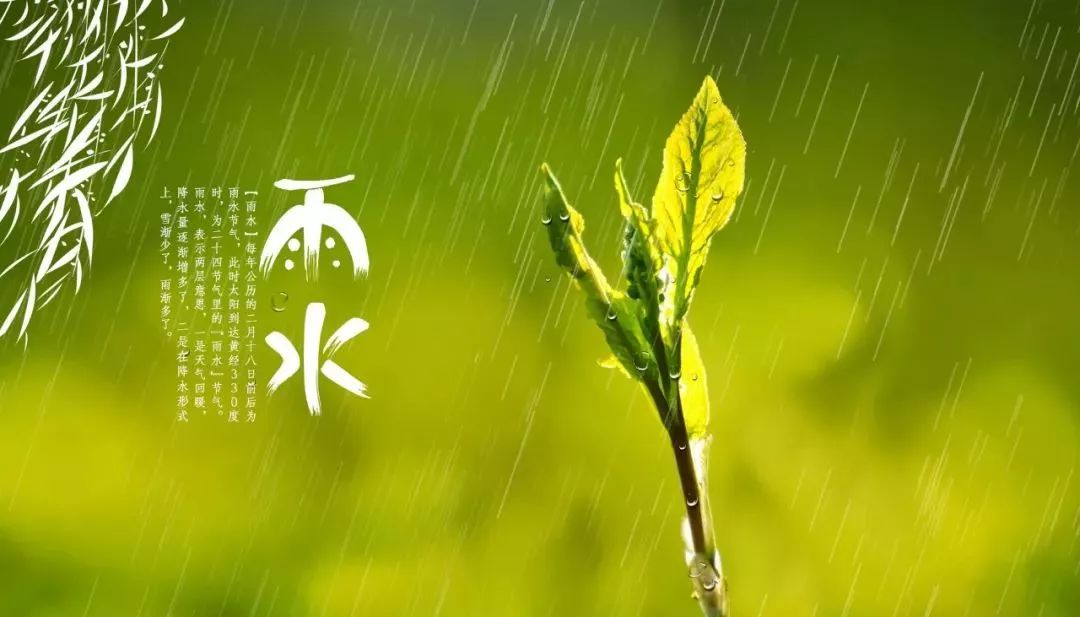 广州天气:人过年热疯?冷空气+雨后天到,最冷是这天!