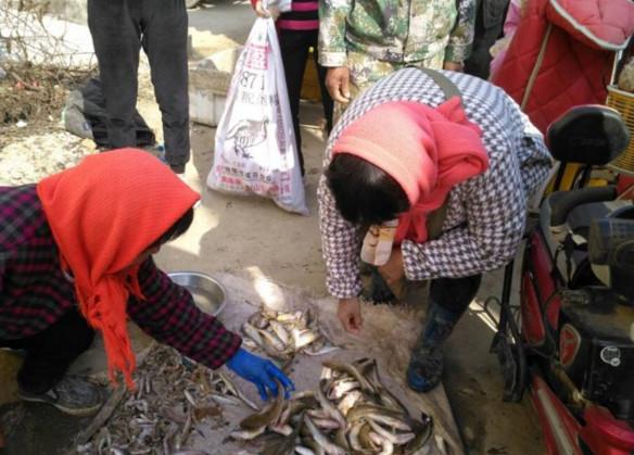 大姐集市上她卖这鱼叫趴沙狗你们有吃过吗