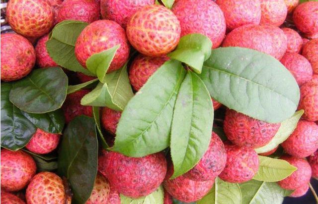 世界上最贵的荔枝,一颗荔枝卖50万,网友:吃了能