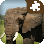 Elephant Jigsaw Puzzle