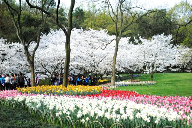杭州必去十大景区,去过七个的算合格,你去过几